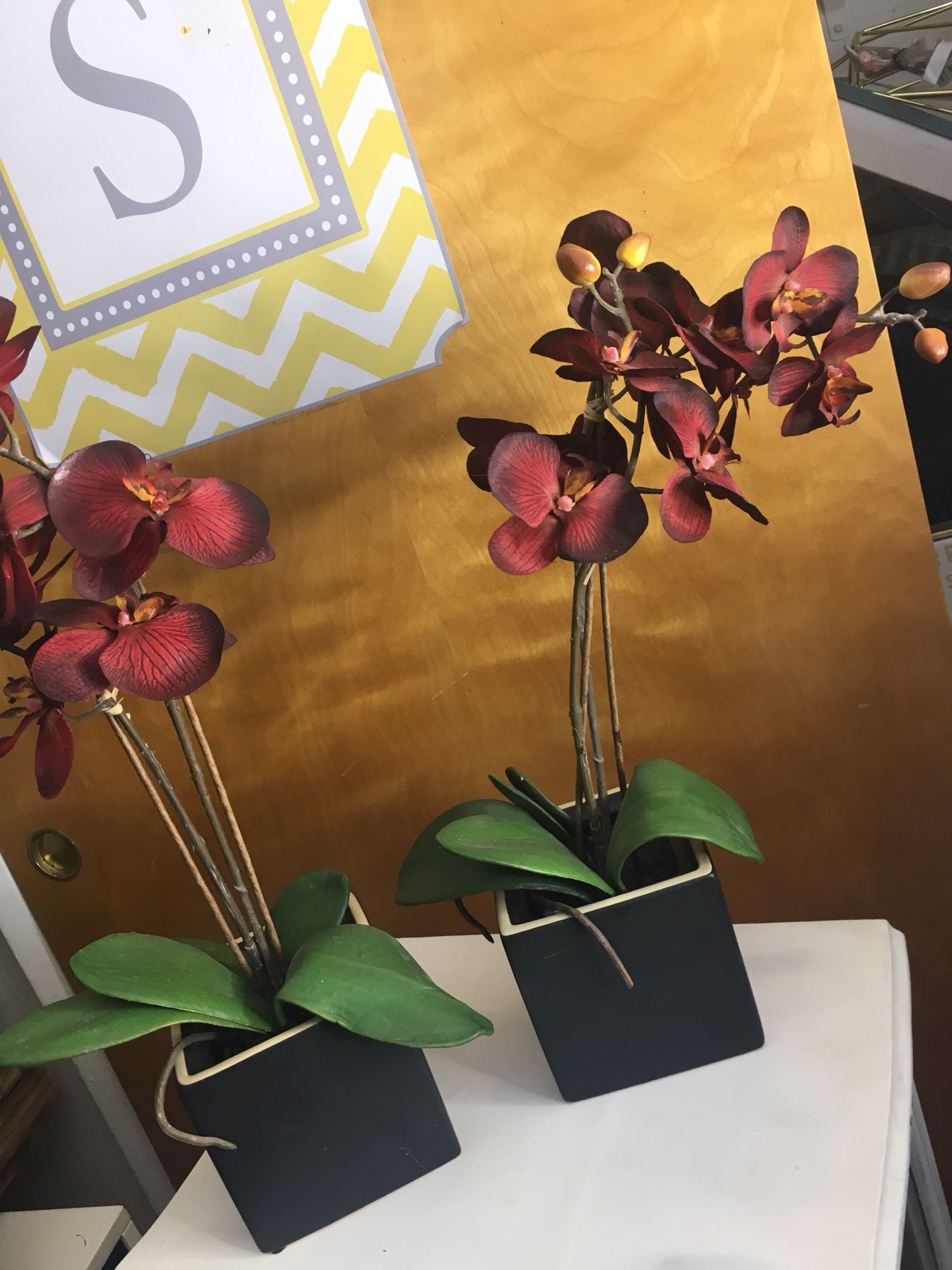 Set of 2 Brand new