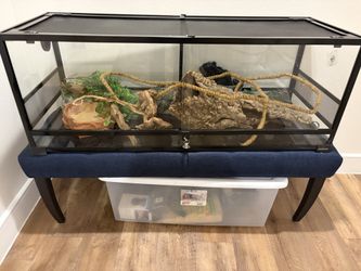 Snake & Reptiles ReptiZoo 67 Gal Terrarium + Lights, Camera, Decor to house your pet today