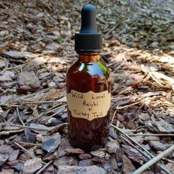 Wild & Local Reishi + Turkey Tail Mushroom Tincture 