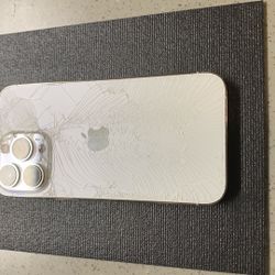 iPhone 13 Pro (for Parts/Being Sold So It Can Be Fixed) 