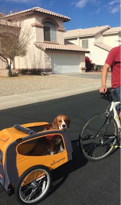 Schwinn dog bike trailer