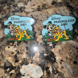 2001 Disney World Annual Pass Pin