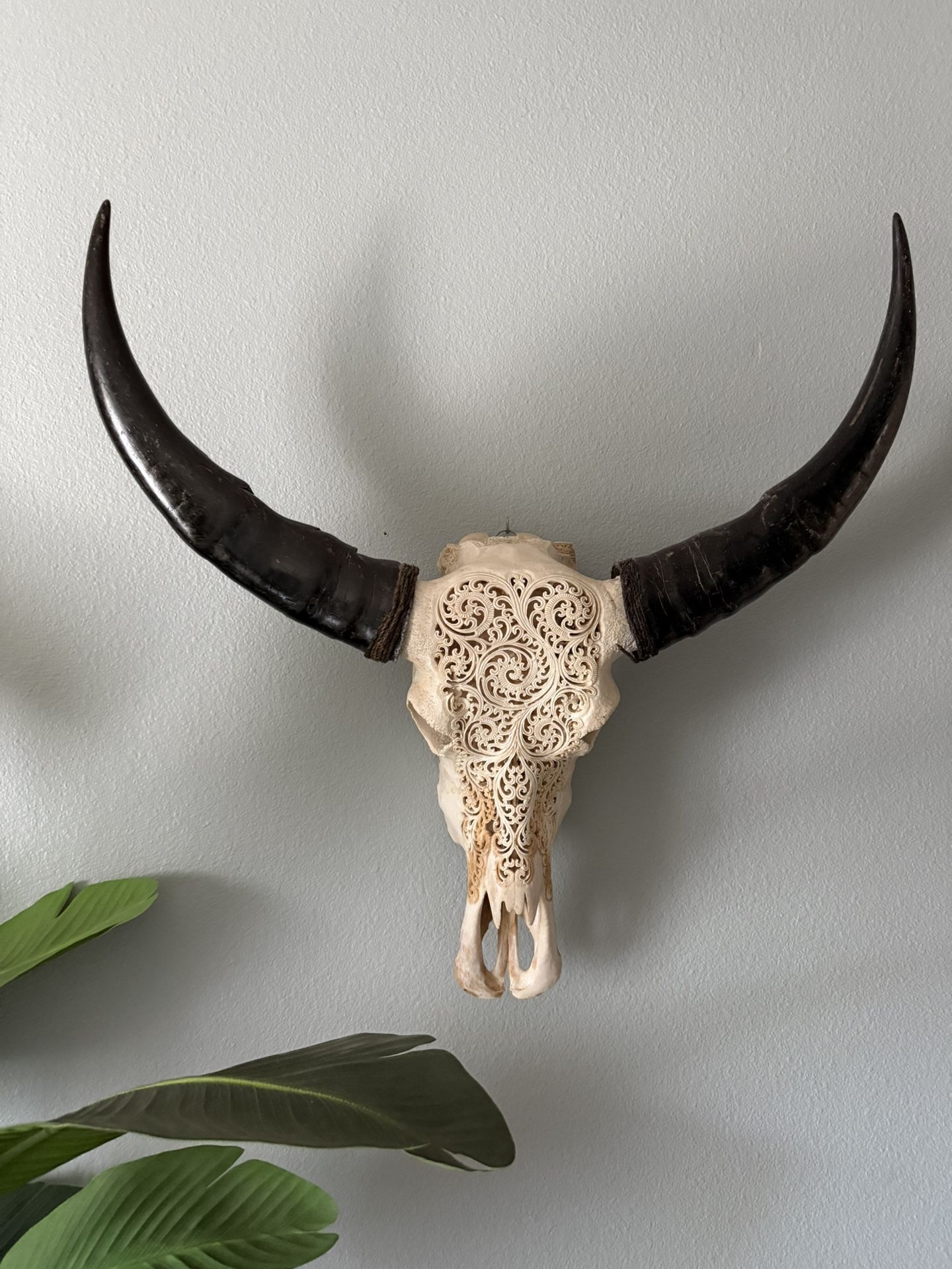 Hand Carved Buffalo Skull Wall Decoration