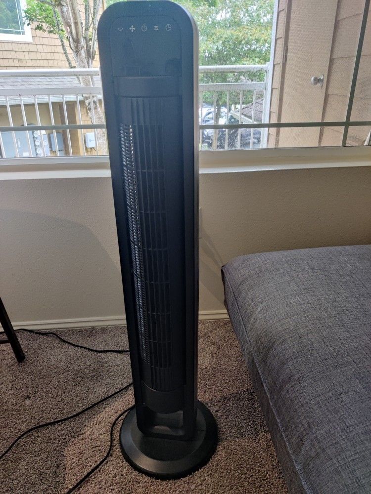 Fan