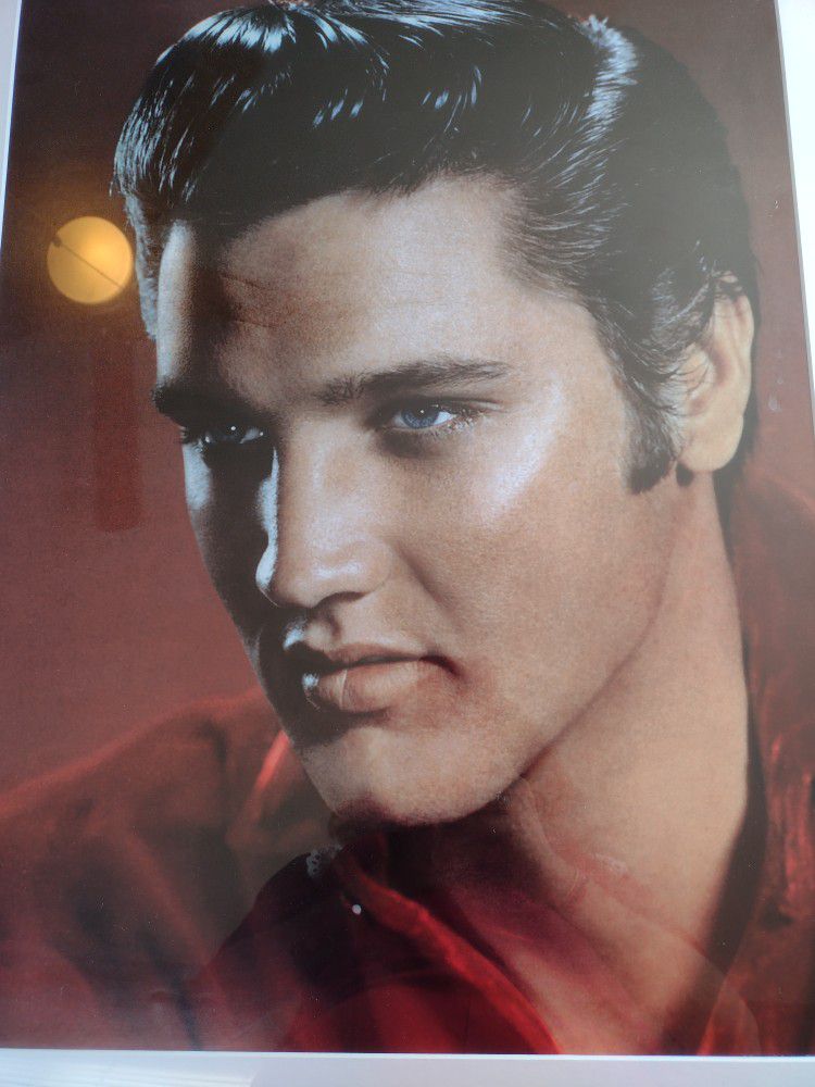 Elvis Presley Large Print!