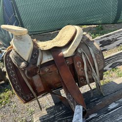 Saddle Horse