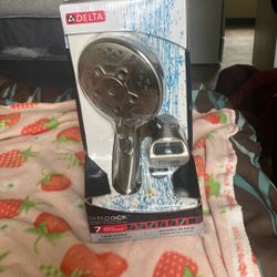 Delta Sure Dock Hand Shower