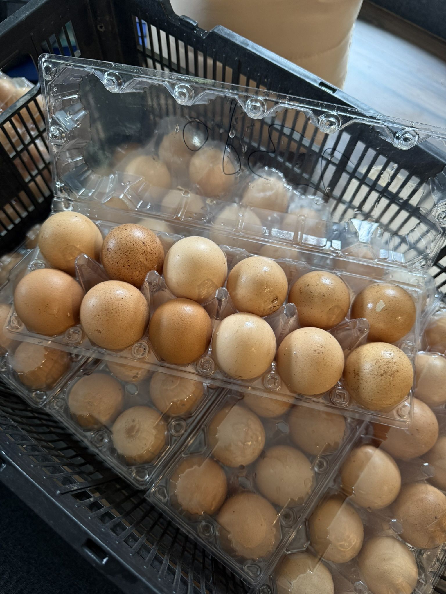 Fresh Farm Eggs