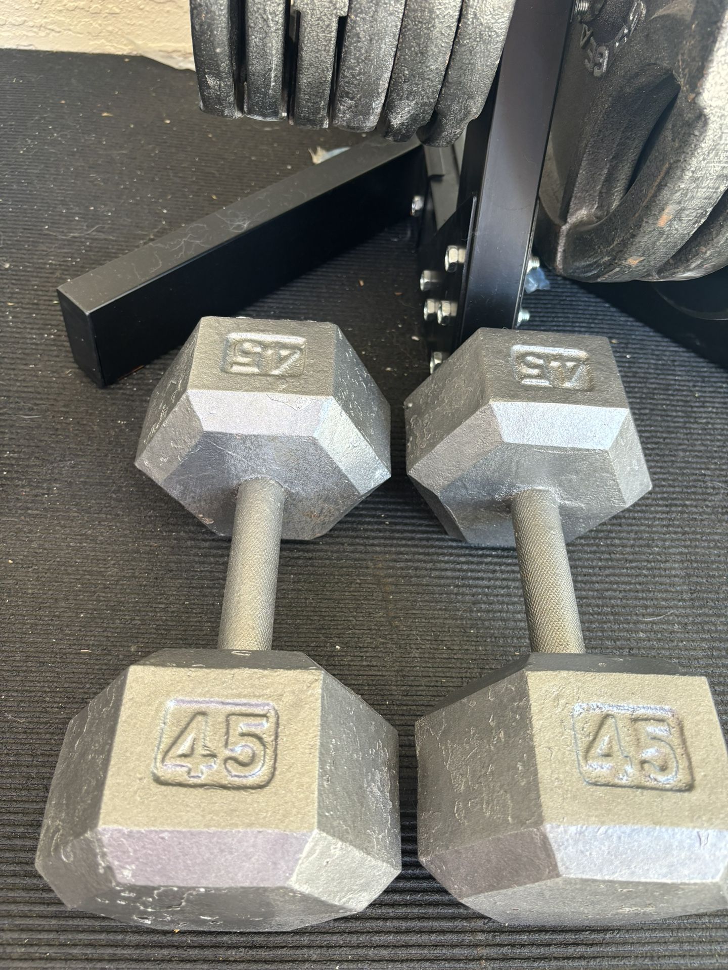 Dumbbells. Exercise Equipment 