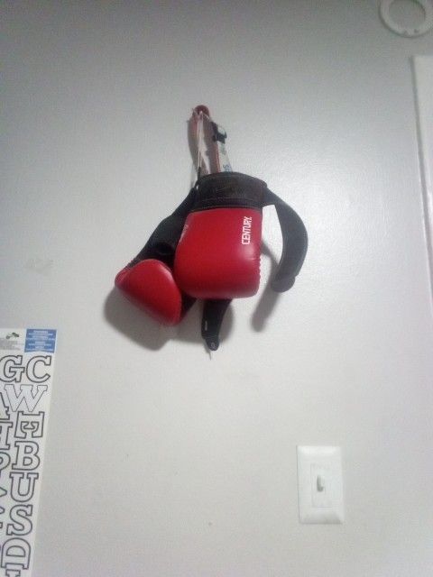 Professional AEC CENTURY SPARRING GLOVES