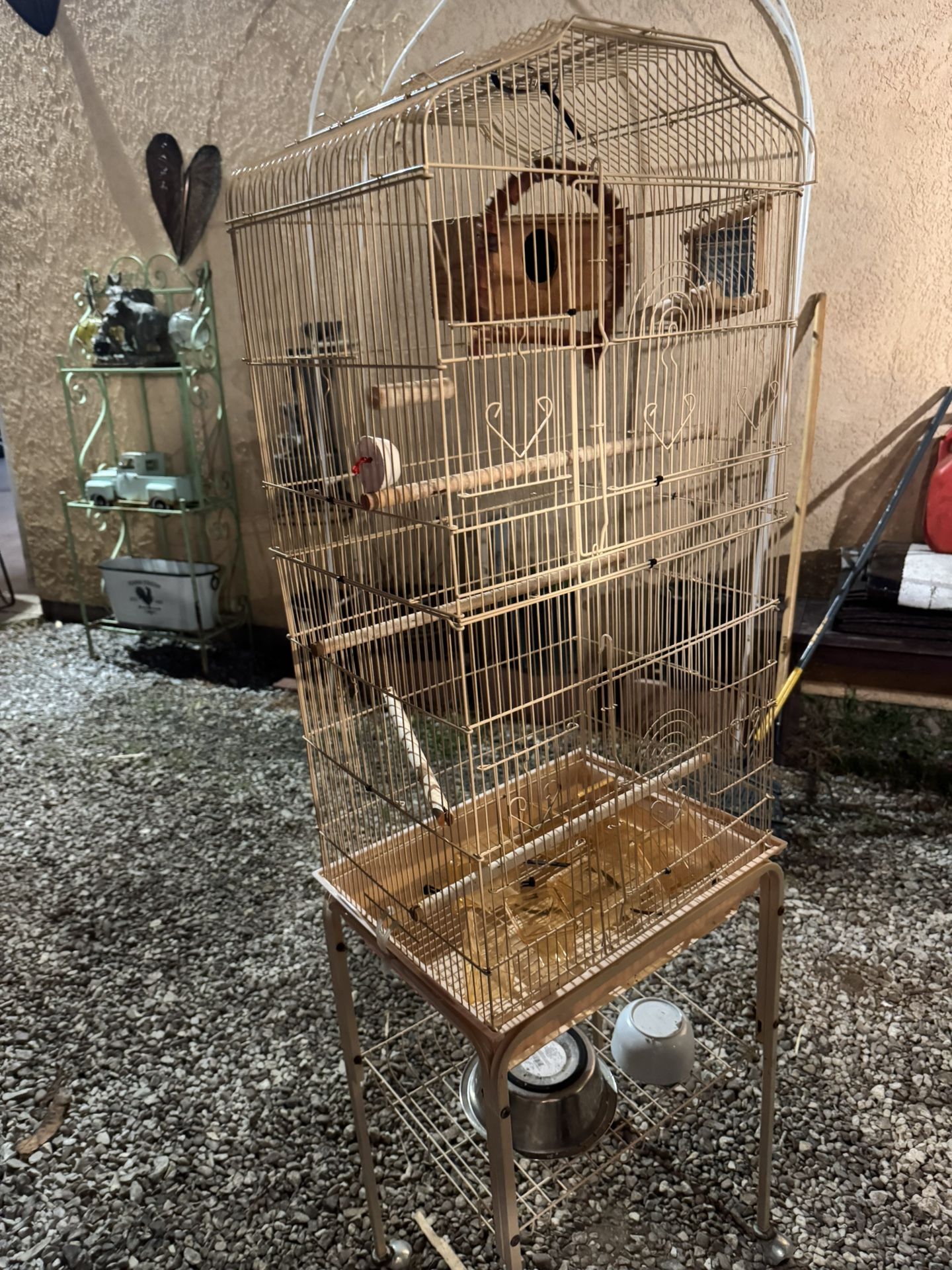 Bird Cage