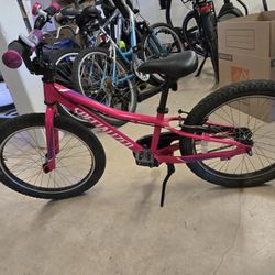 Red And Black GIANT Kids Bike 