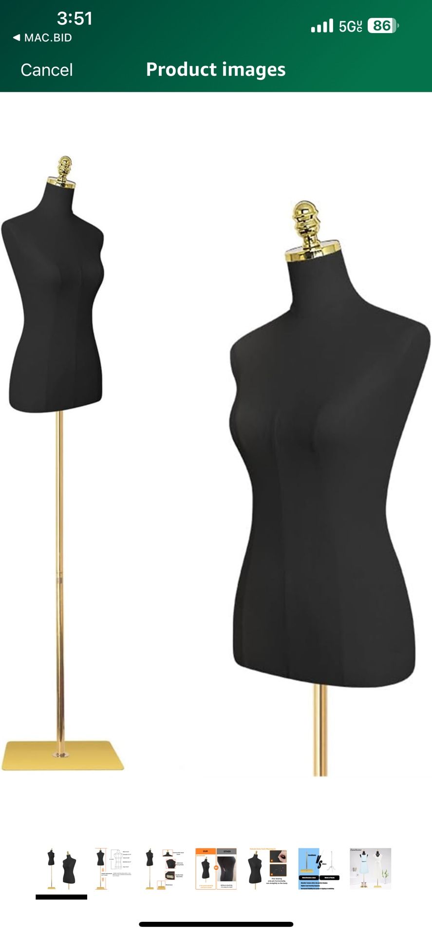 Female torso, mannequin