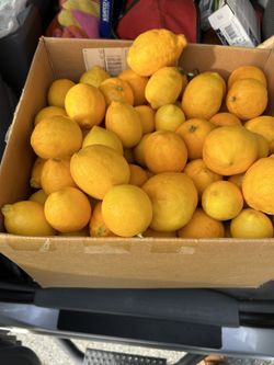 Fresh Organic Lemons