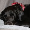 Wilma