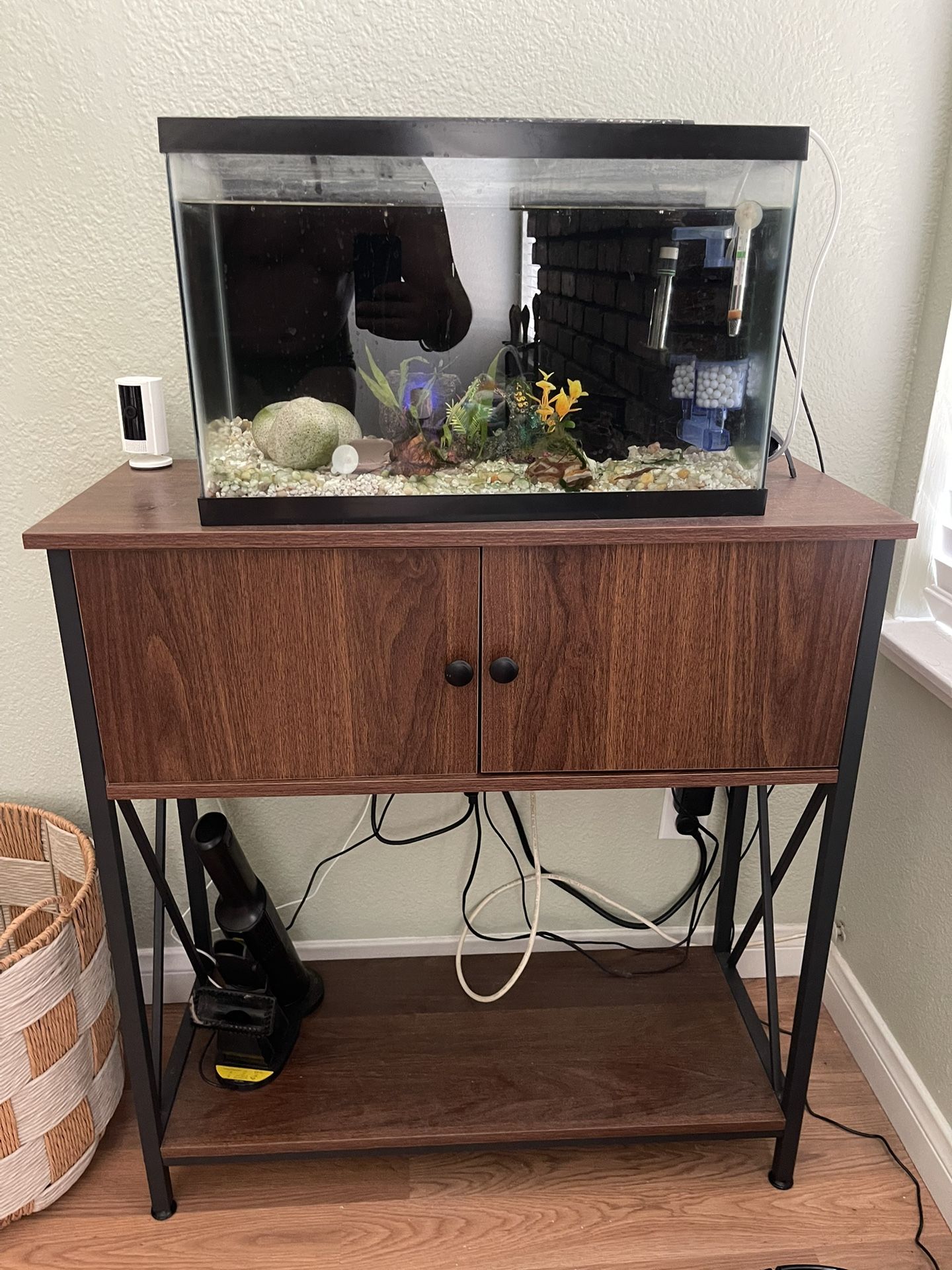 10 Gallon Fish Tank W/stand
