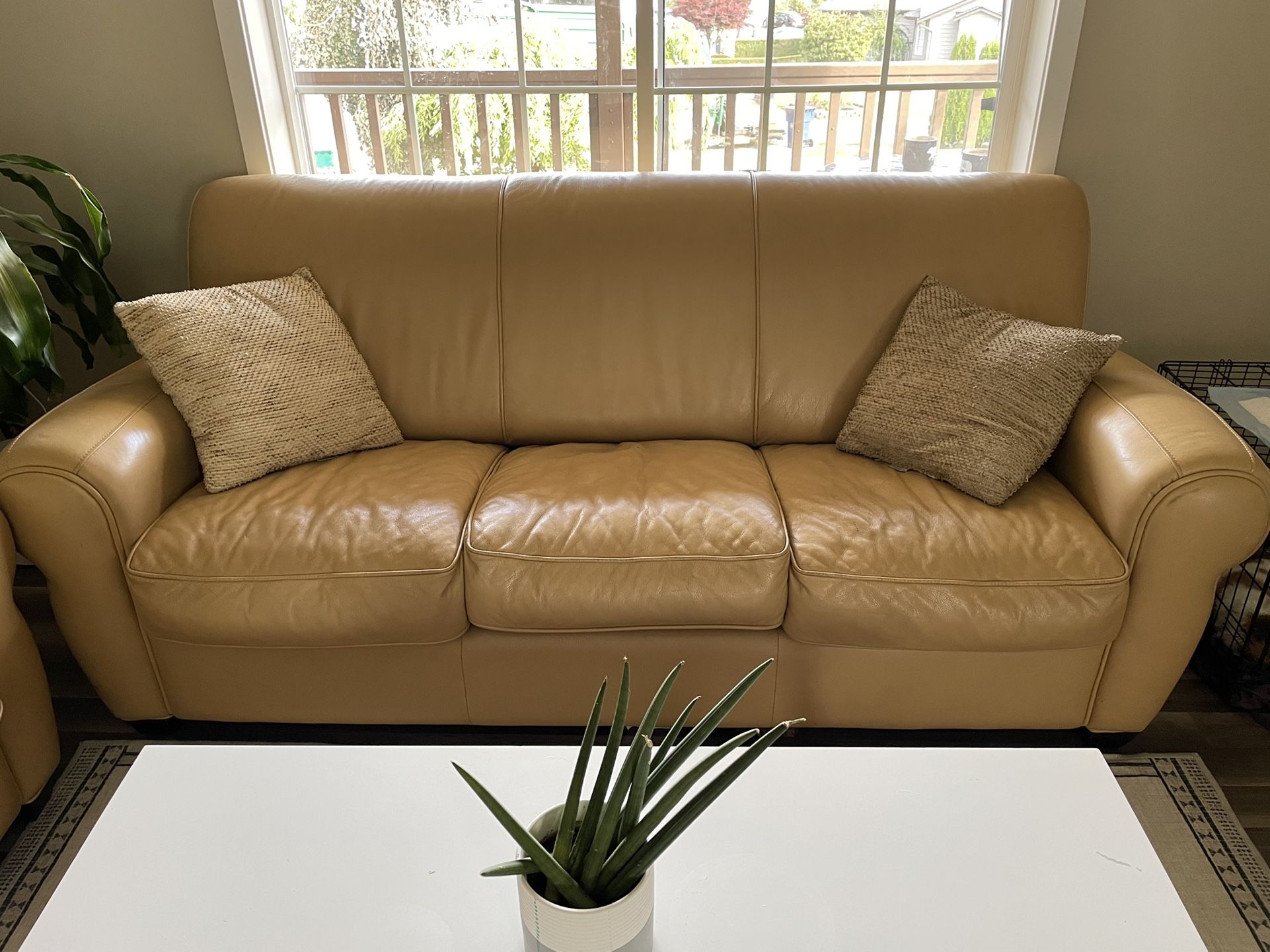Beige Leather Couch Set