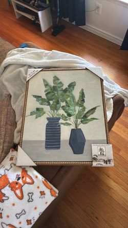 16x20 canvas print - greenery plants in vases