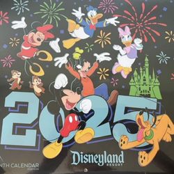 Disneyland Resort 16 Month Wall Calendar 2024-2025 New Sealed