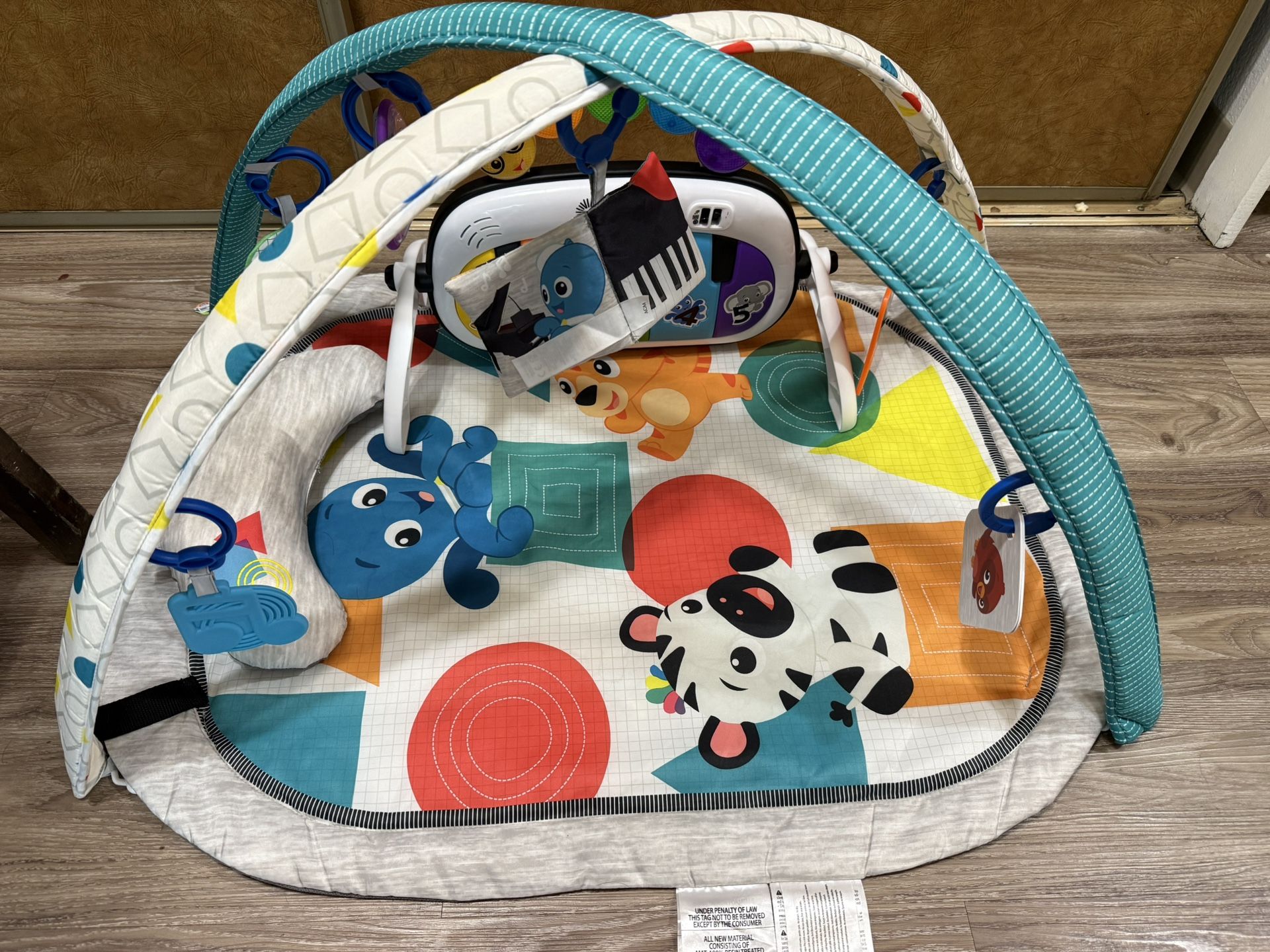 Baby Einstein 4 in 1 Play Gym