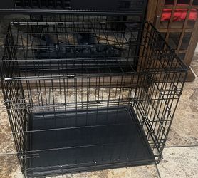 Pet Create New