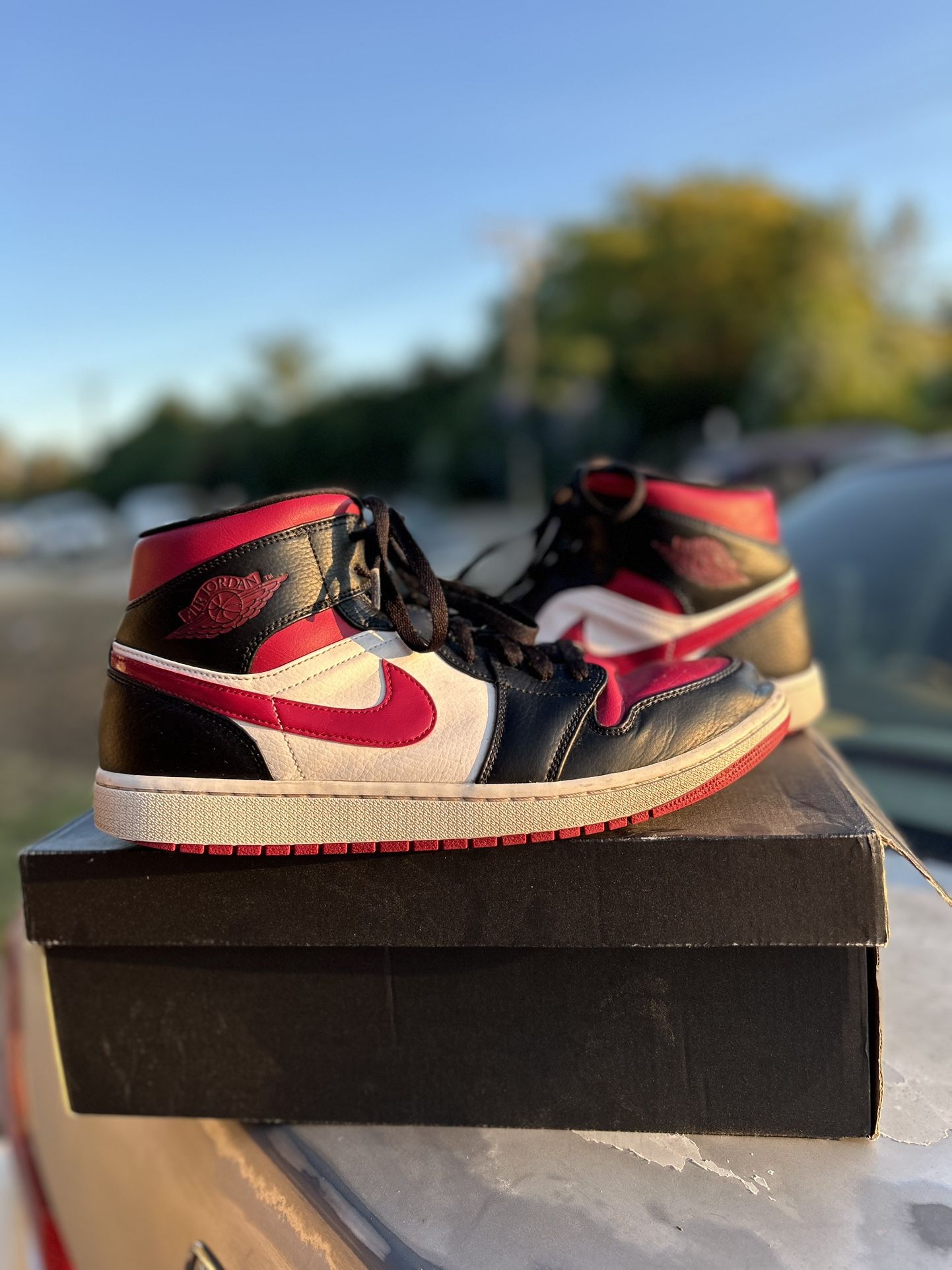 Jordan 1 Mid Size 12