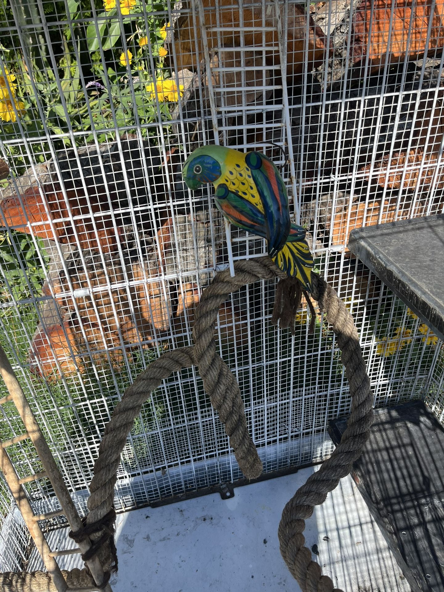 GREAT BIRD π¦
CAGE TALL 46β X34βLONG X23WIDE