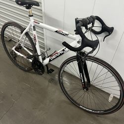 Denali Road Bike 80$ 