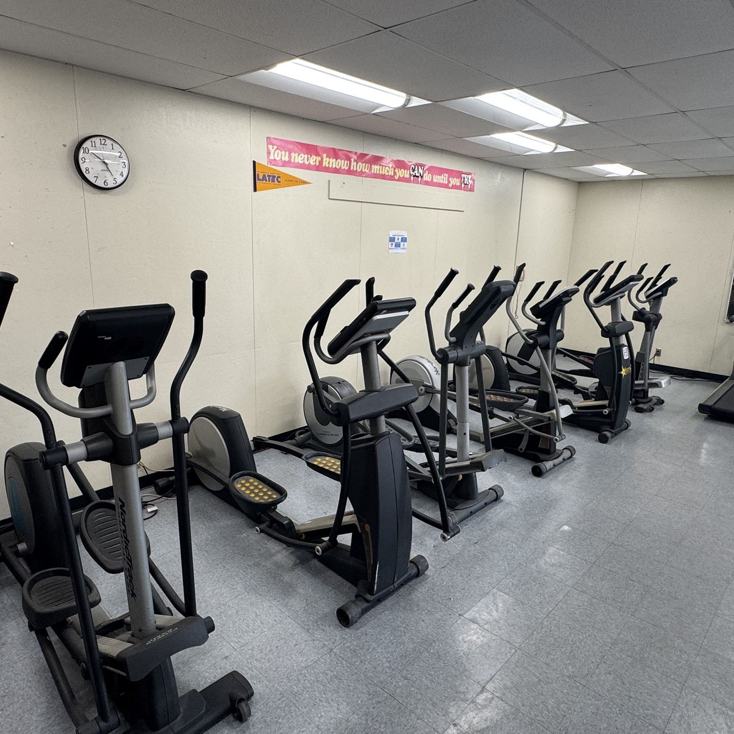 ELLIPTICALS FOR SALE