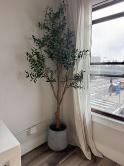 Concrete Plant Pots (set of 3)