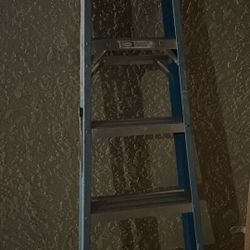 Werner 6ft  Ladder