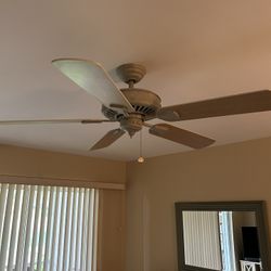 Fan 