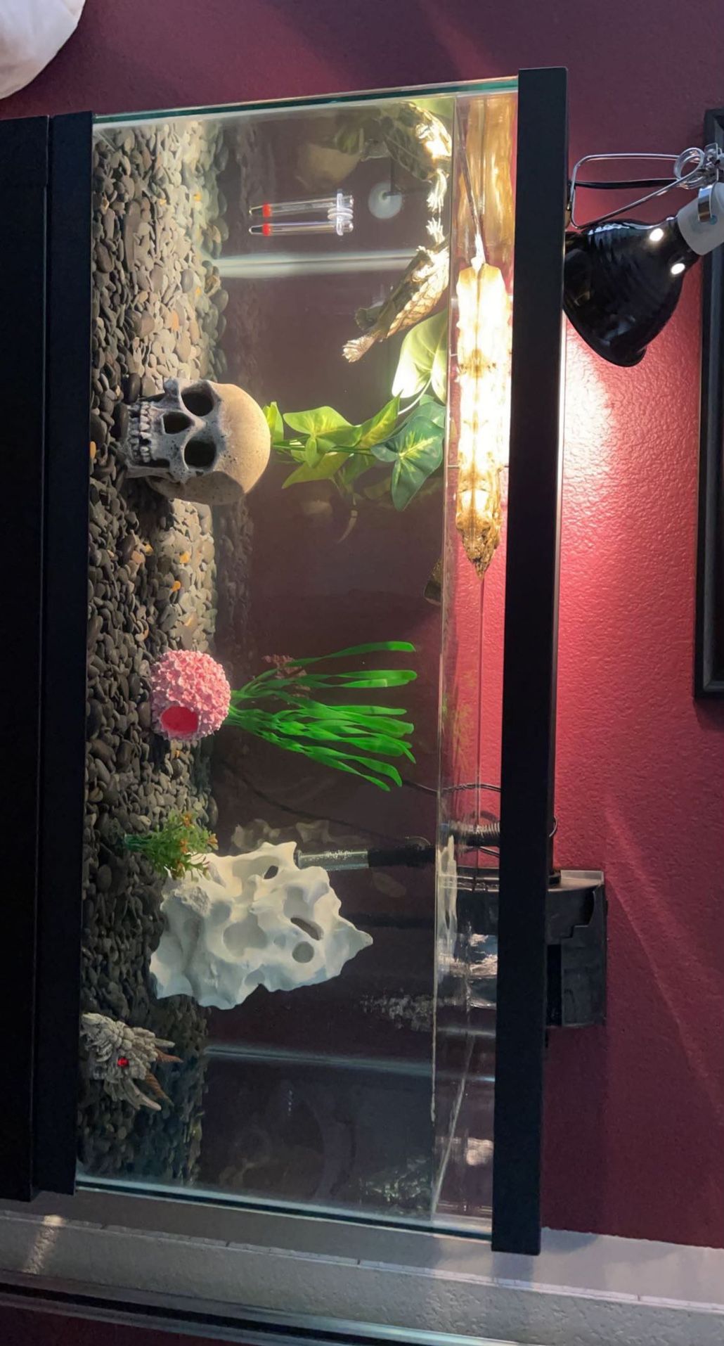 Tank