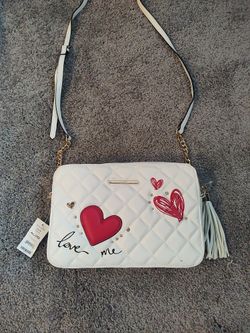 Aldo purse 