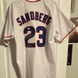 RYNE SANDBERG JSA COA CHICAGO CUBS JERSEY