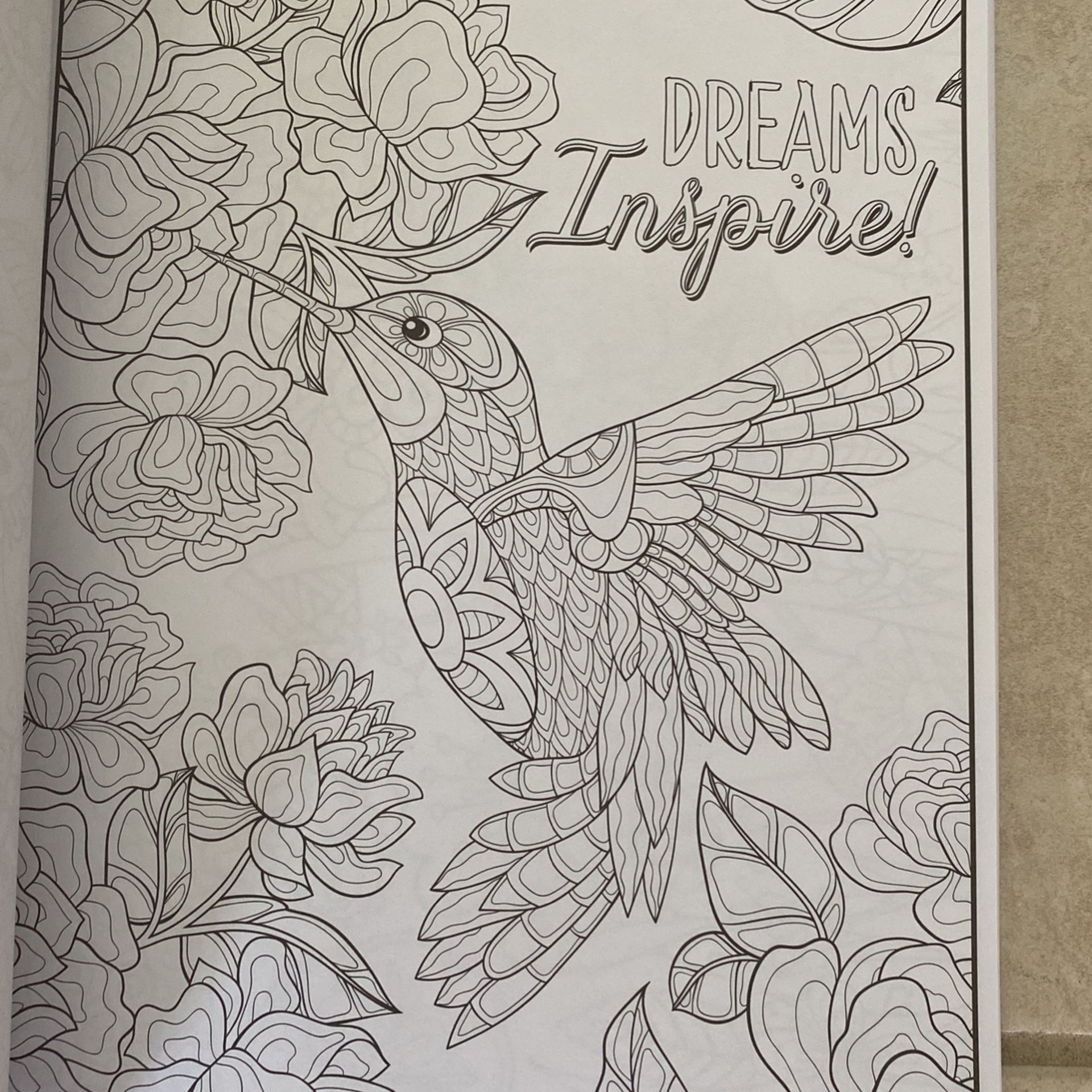 Timeless Creations : Dreams Take Flight : Coloring Book : 64 Pages (10  Available Brand New) for Sale in Miramar, FL - OfferUp