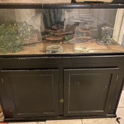 50 Gallon Lizzard Tank With Free Black Wooden Stand