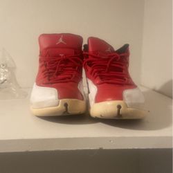 Jordan 12 