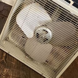 Fan