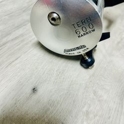Accurate Tern 600 narrow fishing reel $300