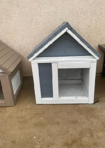 Dog House