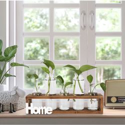 PAG Plant Terrariums Kit Tabletop Hydroponics Air Planter Holder with 5 Glass Vase and Solid Wood Stand for Home Office Decoration