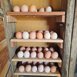 Fresh Backyard Eggs