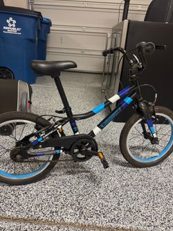 Guardian Kids Bike with SureStop Brakes