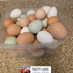 Fresh Eggs $8 Dozen 