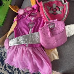 Skye Paw Patrol Costume With Matching Candy Bag Size 3-4