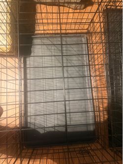 Dog crate (used)