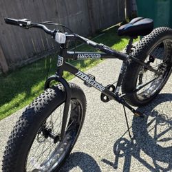 Mongoose Malus Mens and Women Fat Tire Mountain Bike, 26-Inch 