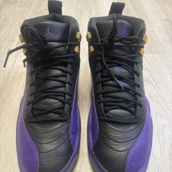 Jordan 12 Field Purple 10.5