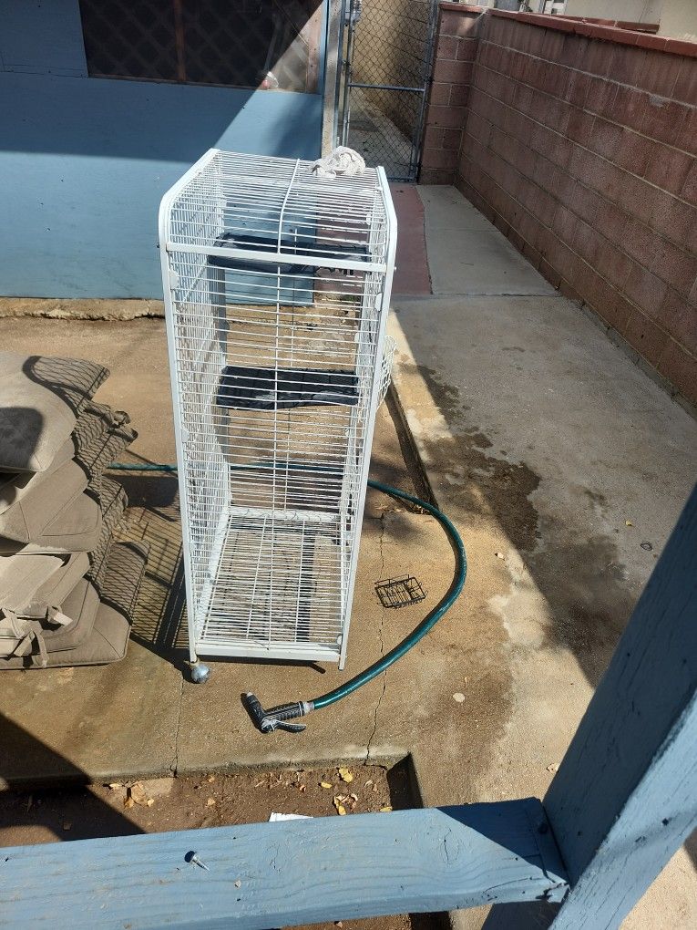 Bird Cage